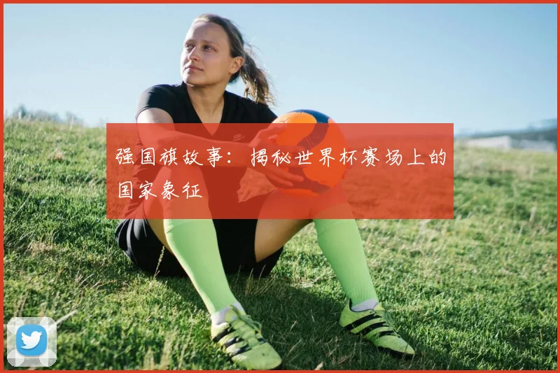 强国旗故事：揭秘世界杯赛场上的国家象征