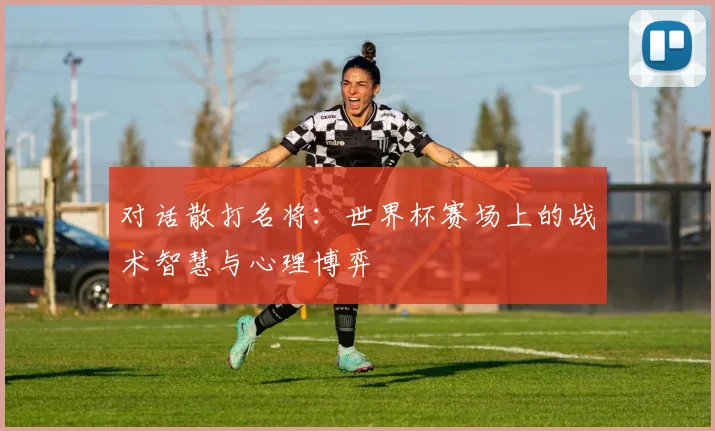 对话散打名将：世界杯赛场上的战术智慧与心理博弈