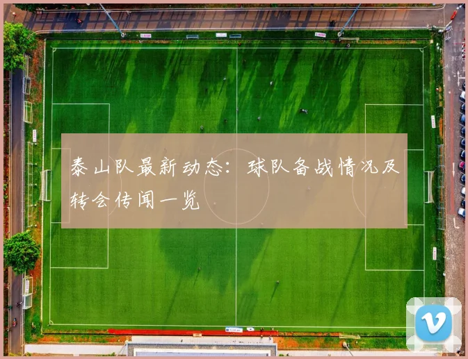 泰山队最新动态：球队备战情况及转会传闻一览