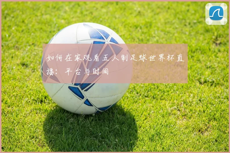 如何在家观看五人制足球世界杯直播：平台与时间