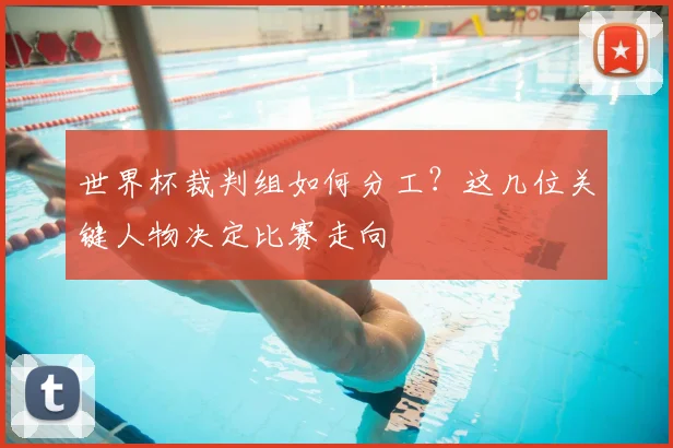 世界杯裁判组如何分工？这几位关键人物决定比赛走向