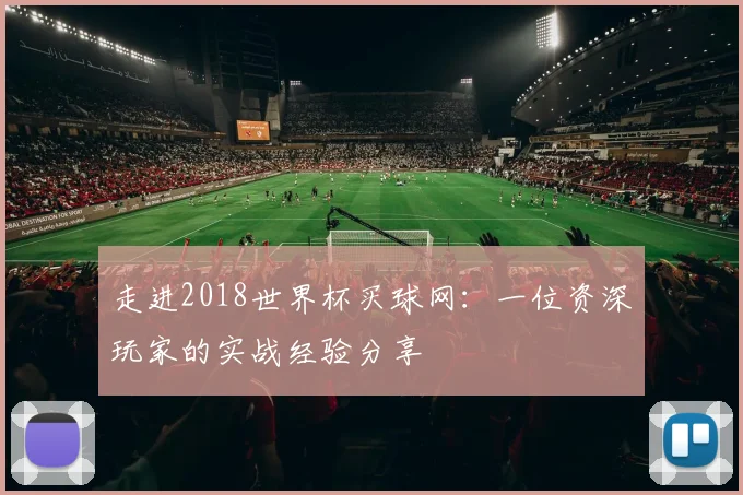 走进2018世界杯买球网：一位资深玩家的实战经验分享