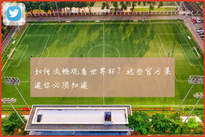 如何流畅观看世界杯？这些官方渠道你必须知道