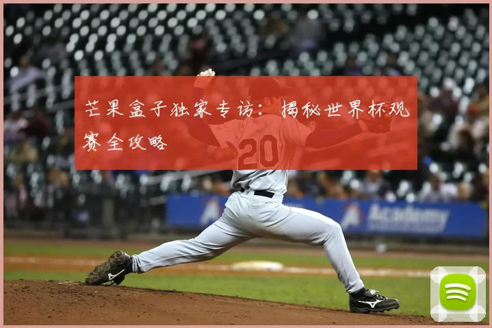 芒果盒子独家专访:揭秘世界杯观赛全攻略