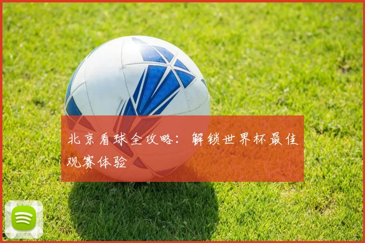 北京看球全攻略:解锁世界杯最佳观赛体验