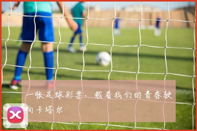 一张足球彩票，载着我们的青春驶向卡塔尔